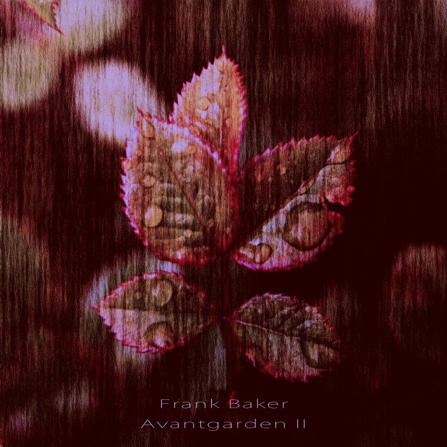 Frank Baker - Avantgarden Demo II